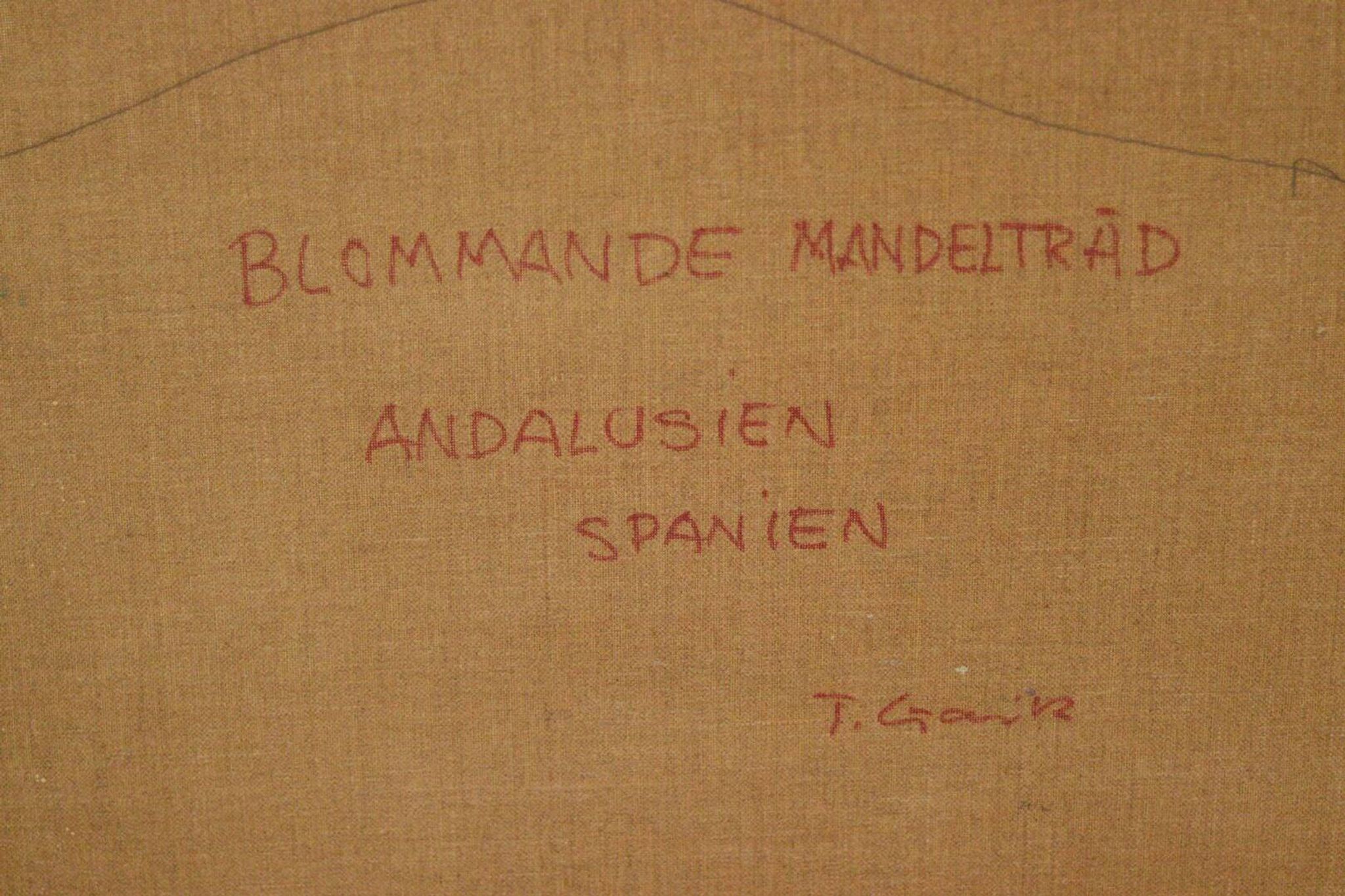 « Amandier en fleurs, Andalousie, Espagne » par Tage Gavik