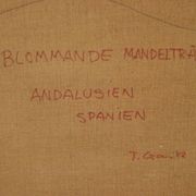 « Amandier en fleurs, Andalousie, Espagne » par Tage Gavik