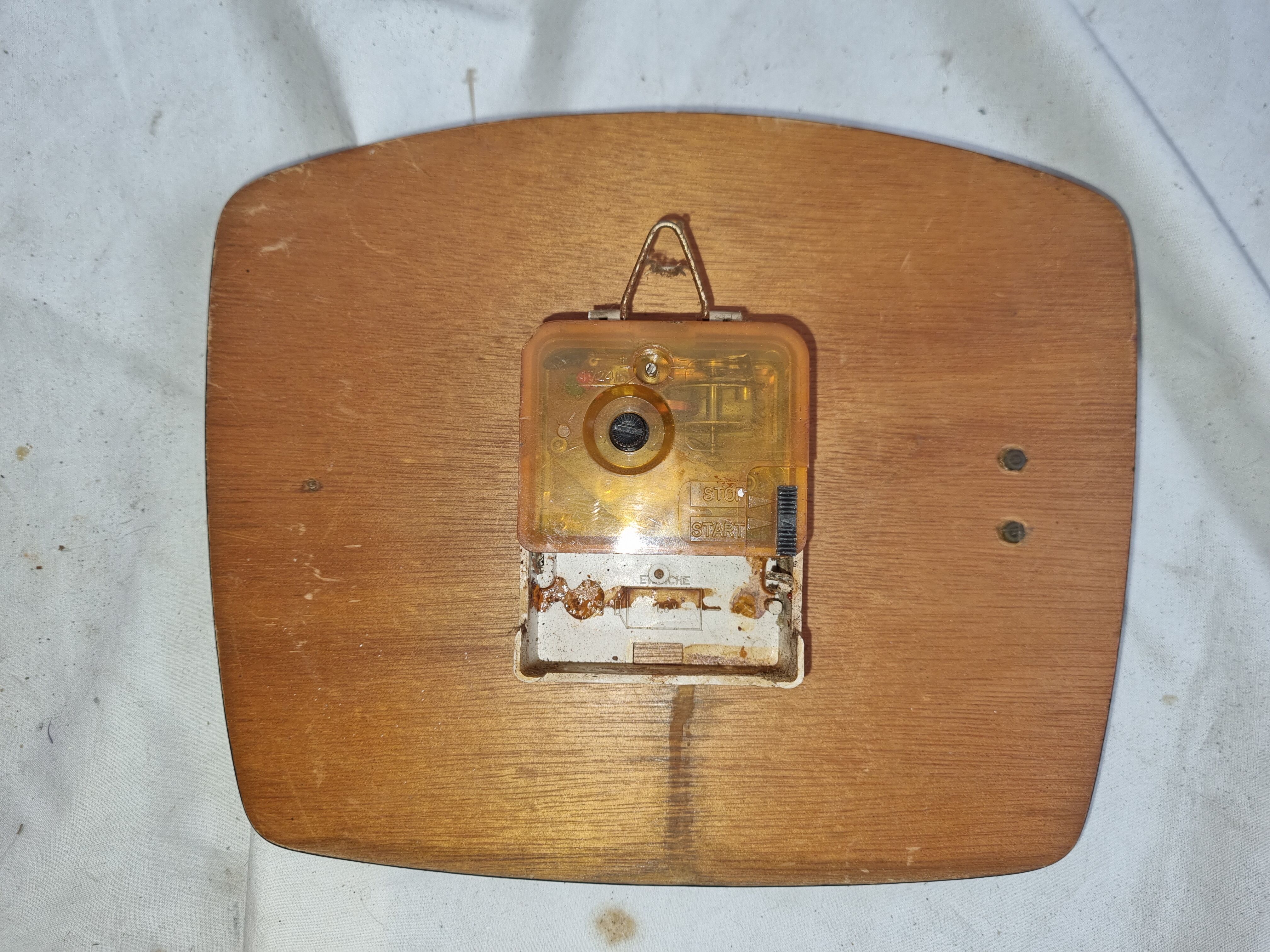 Pendulum formica Morvex, 1970