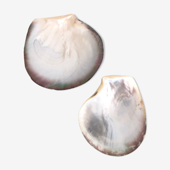 Set of 2 empty pocket mother-of-pearl shell