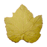 Trinket plate plane tree leaf