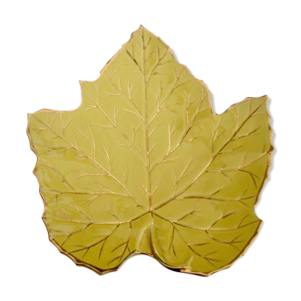 Trinket plate plane tree leaf