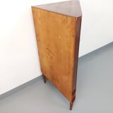 Vintage Scandinavian teak storage corner cabinet from the 60s