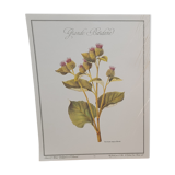 Botanical plate Grande Burdane