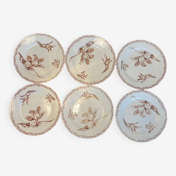 6 old dessert plates in KG Lunéville TULIPES iron earth style