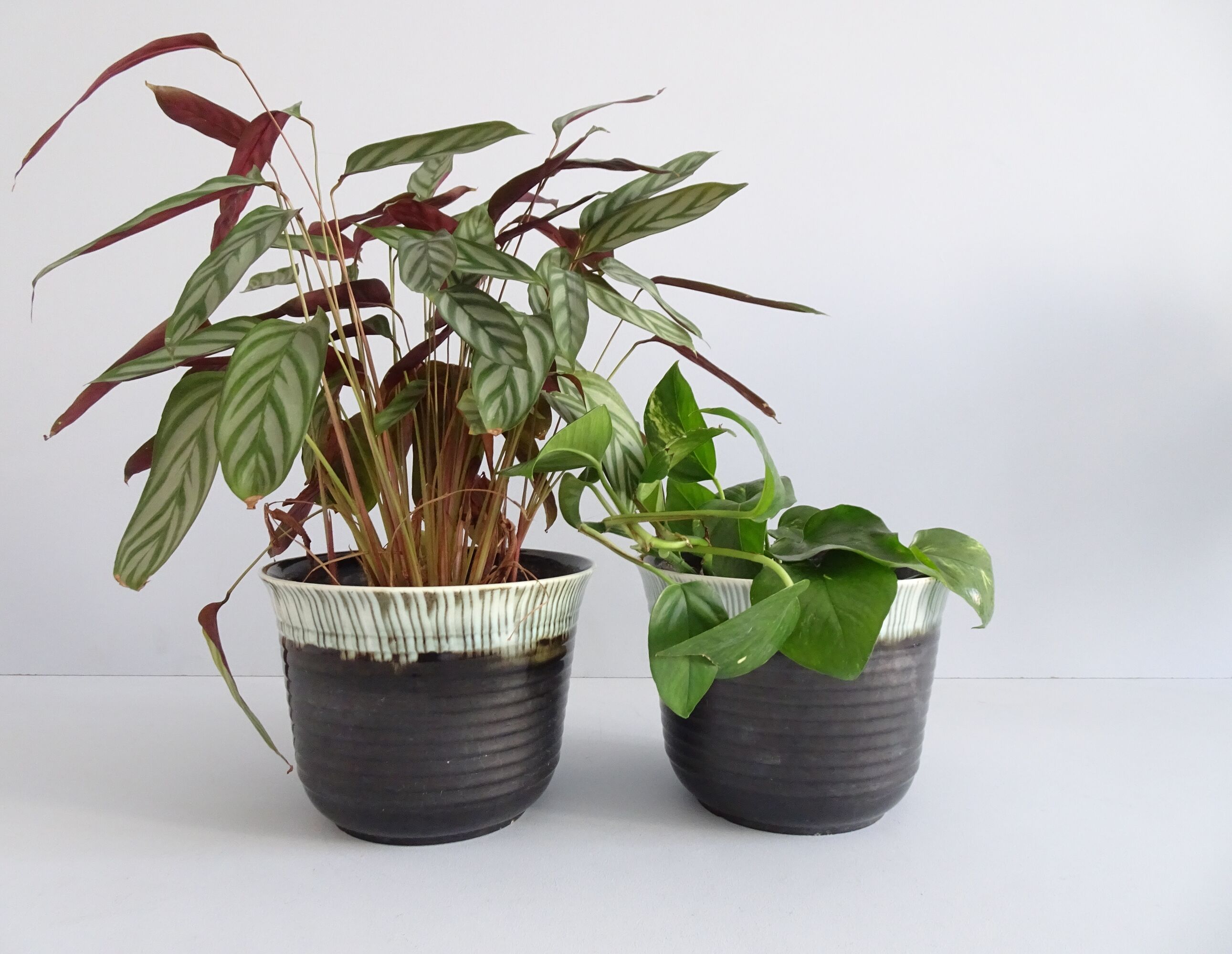 Ceramic planters 1940