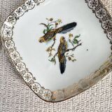 Empty pocket Limoges “duo of parakeets”