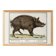 Small poster about wild boar, after an old engraving from 1610.