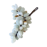 Bunch of onyx grapes