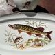Large fish platter and its vintage porcelain sauce boat, decorated with pike.