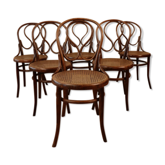 Set of 6 omega bistro chairs