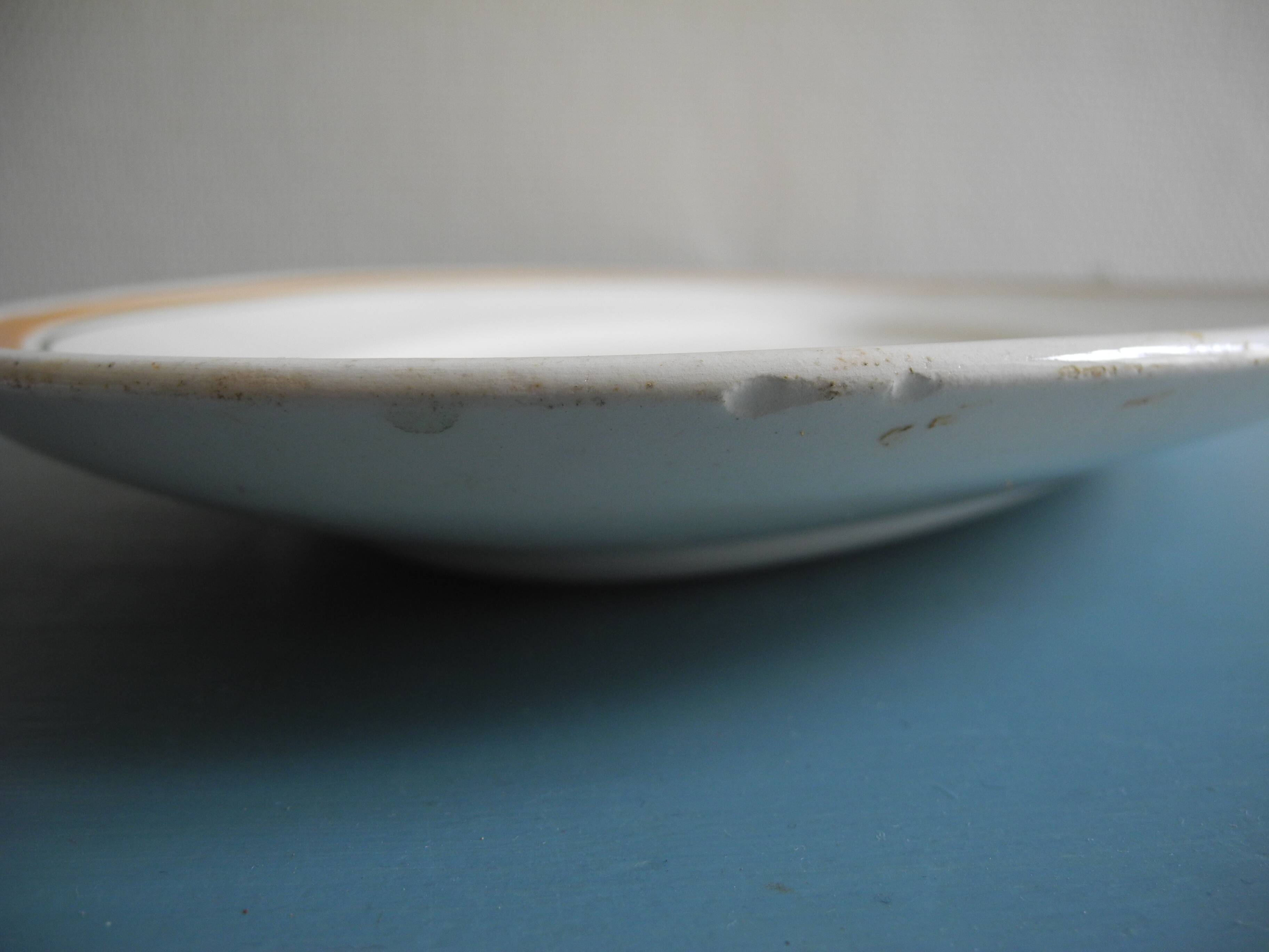 old French serving dish from Salins EC Terre Fer Nouvelles Galeries