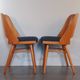 Set of 6 renovated chairs, design Oswald Haerdtl by Ton, Czech, 1960s