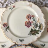 Limoges porcelain dessert plates