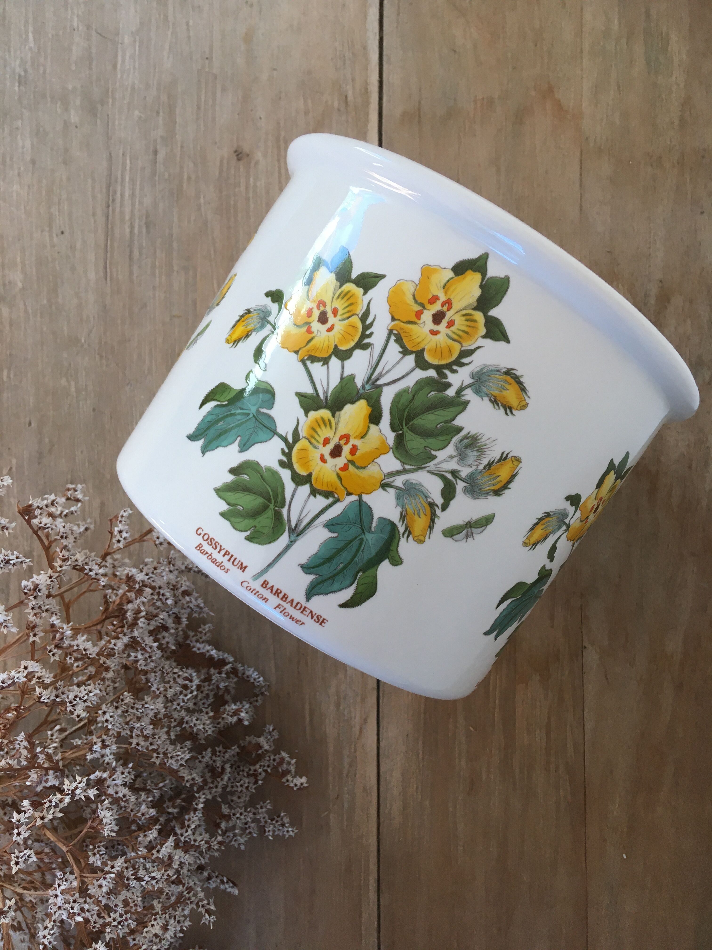 Vintage pot cover the botanic garden