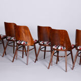 Ensemble de six chaises en hêtre du milieu du siècle, Oswald Heardtl, restauré, Tchéquie, années 1950