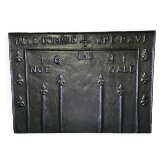 Fireplace plate