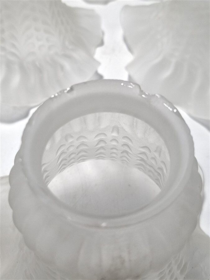 Glass tulip