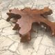 Table basse "souche d'arbre"