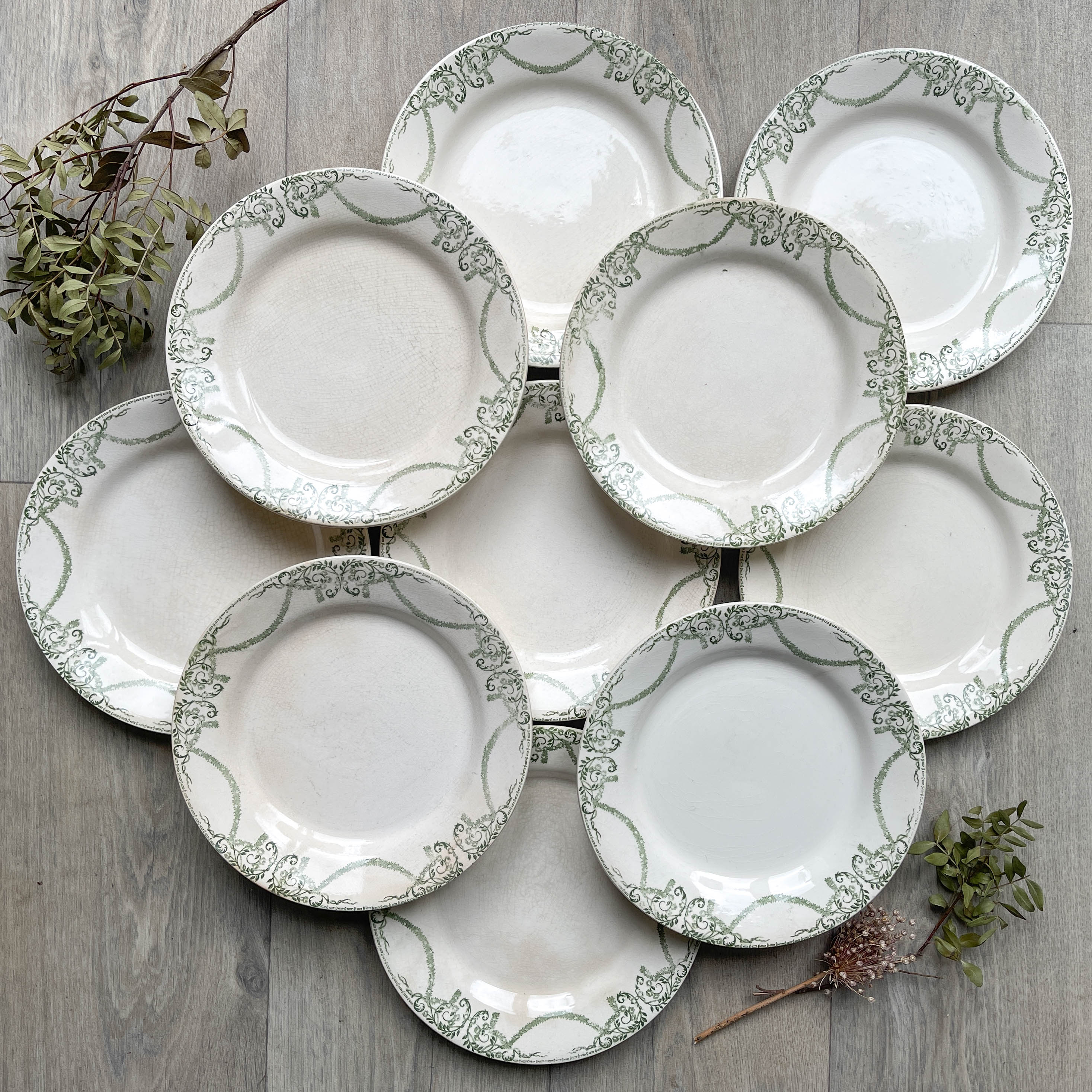 Flat plates terre de fer green creil & montereau labrador model "napoleon" 1890s