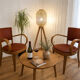 Pair of Fischel armchairs in bent wood