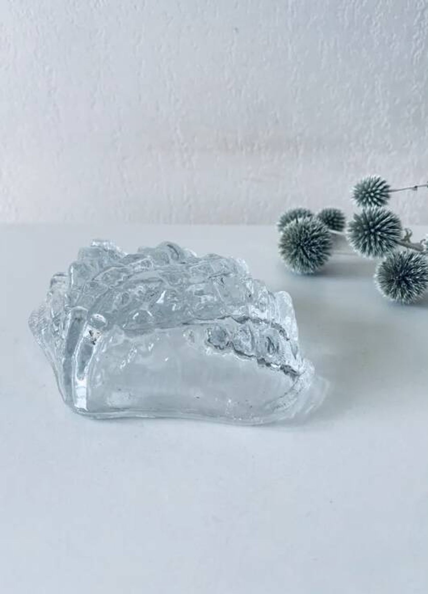 Coquillage bénitier en verre