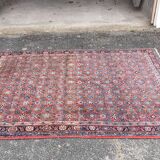 Bidjar carpet