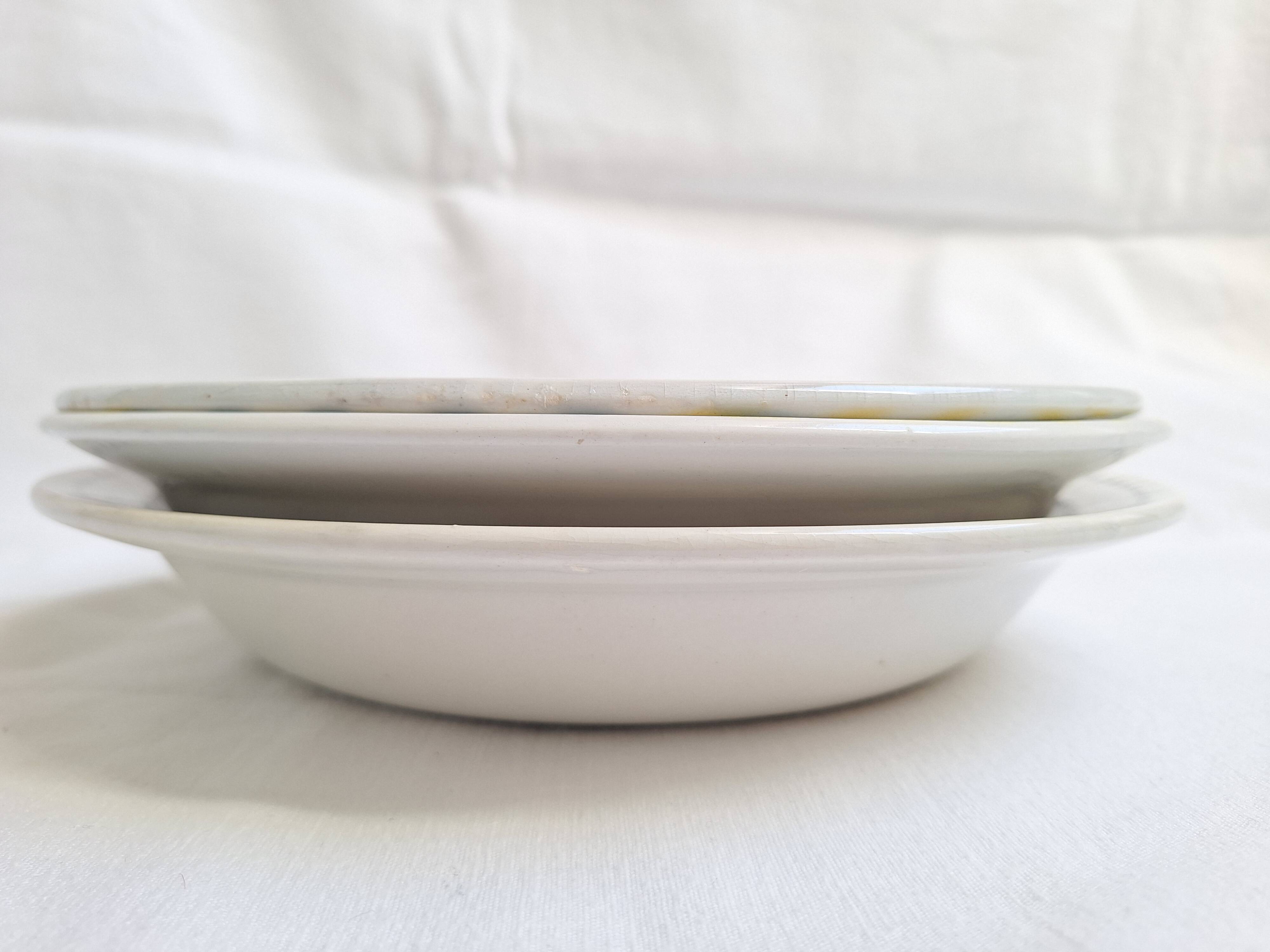 Shallow dish Gien, Moulin des Loups, K&G Luneville
