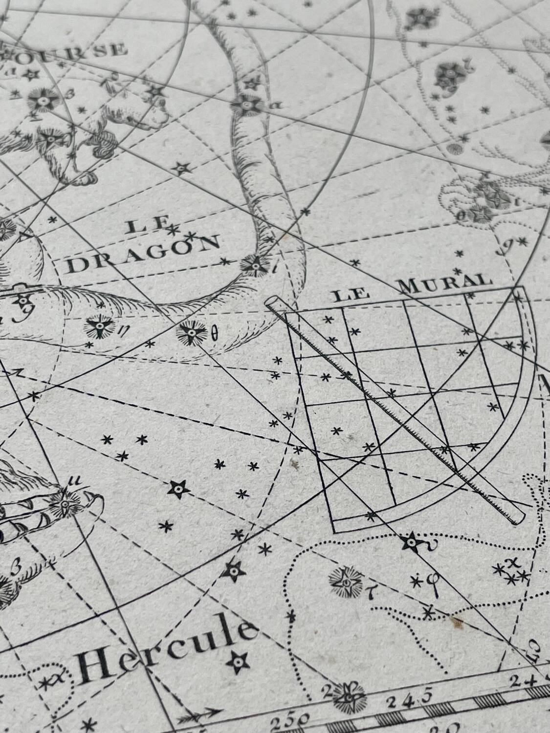 Cassiopée Céphée Le Renne La Petite Ourse Le Dragon - Astronomie