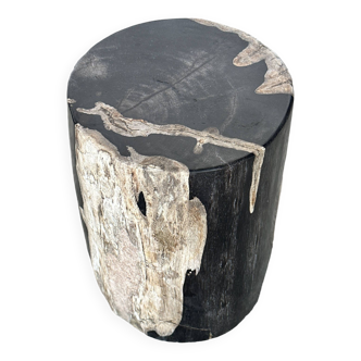 Small black petrified wood side table with white line H:28cm D:19cm