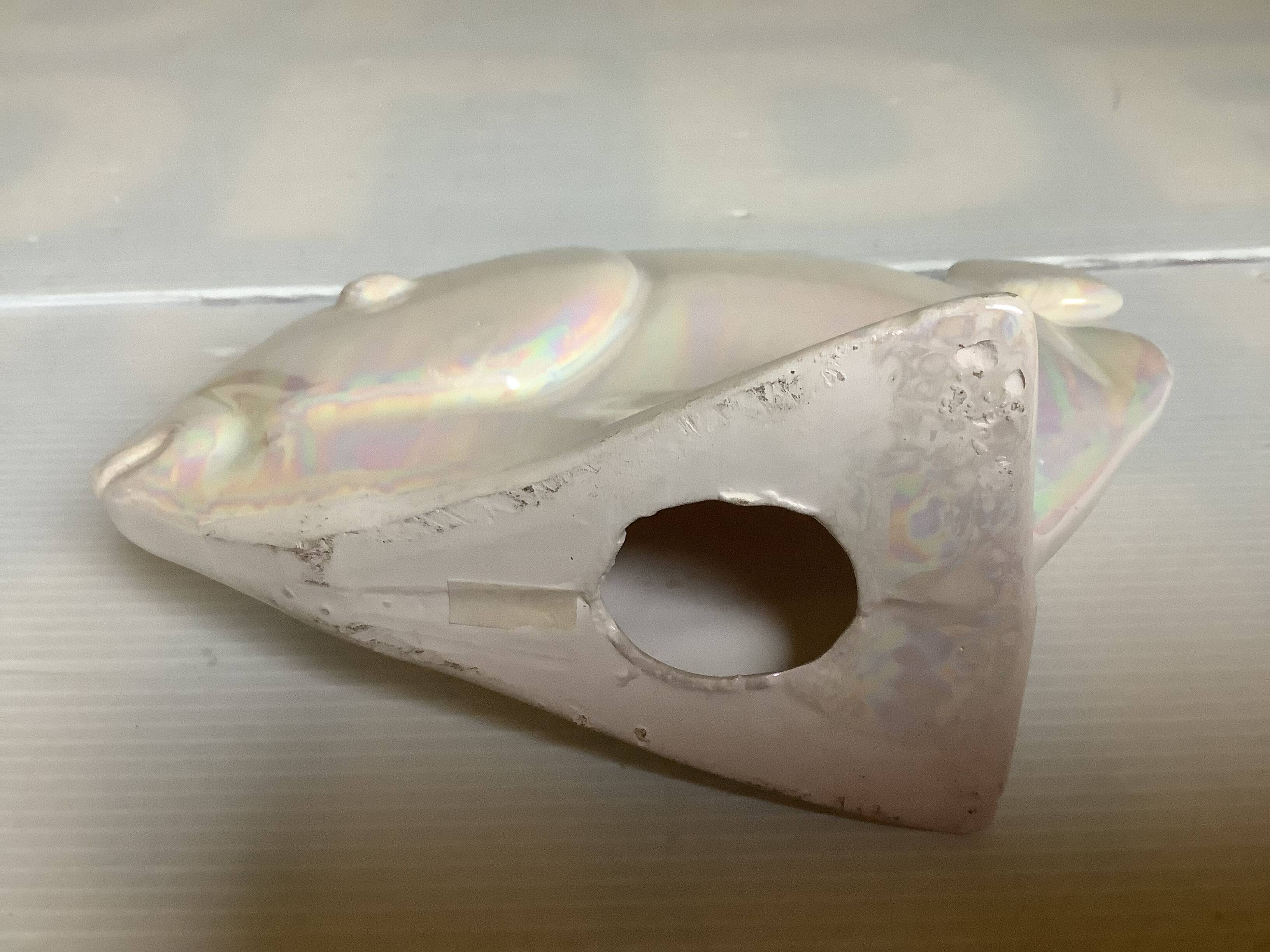 Iridescent white fish