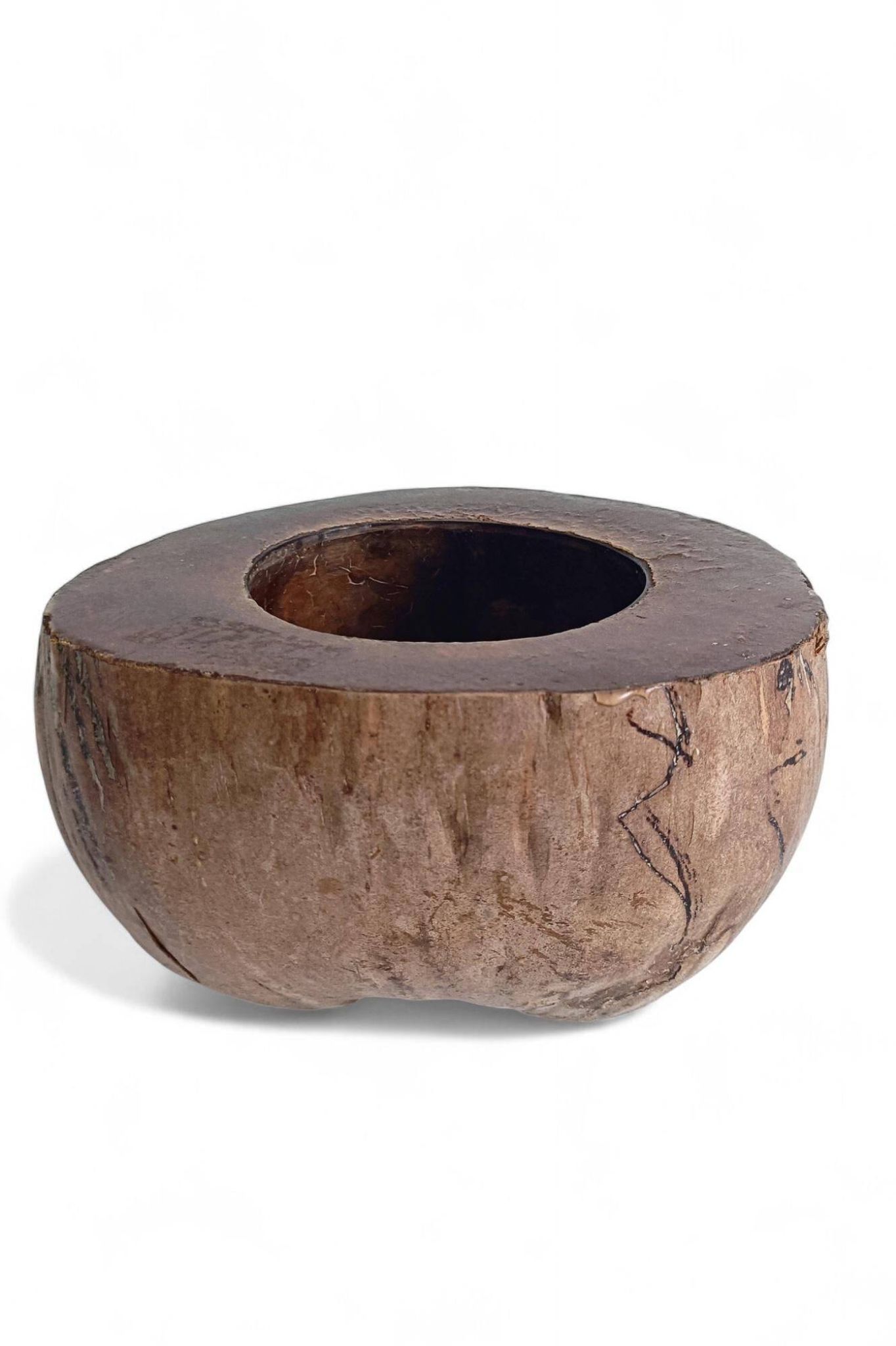 Centre de table Wabi Sabi moderne organique Coco de Mer, sculpté à la main, 19e siècle.