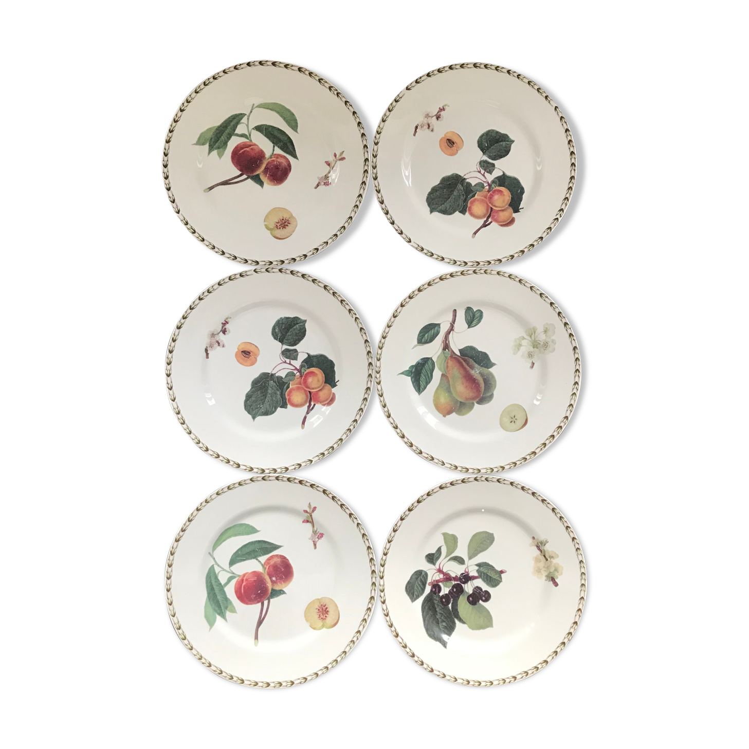 Lot of 6 plates botanical decoration