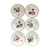 Lot of 6 plates botanical decoration