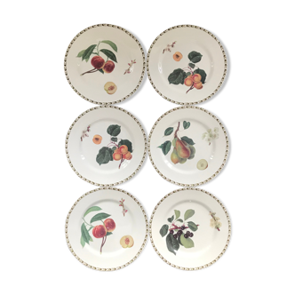 Lot of 6 plates botanical decoration