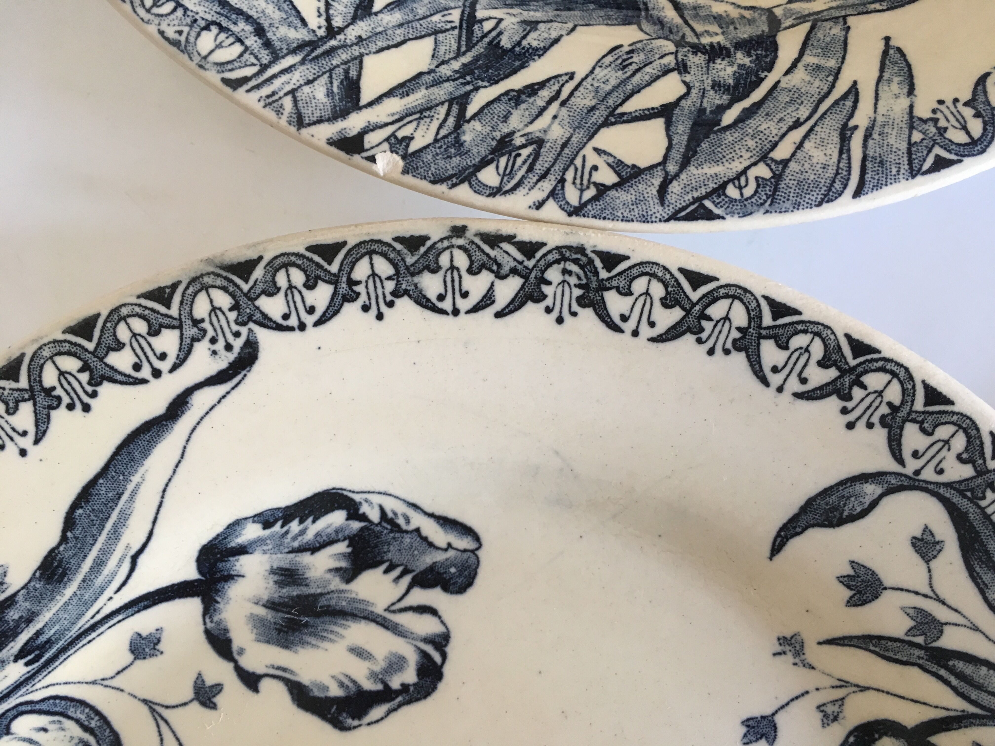 Set of 6 flat Tulips earthenware plates of Gien of the nineteenth century