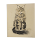 Basile Titoff - Lithograph signed - Orion Chat