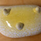 Yellow dish 50