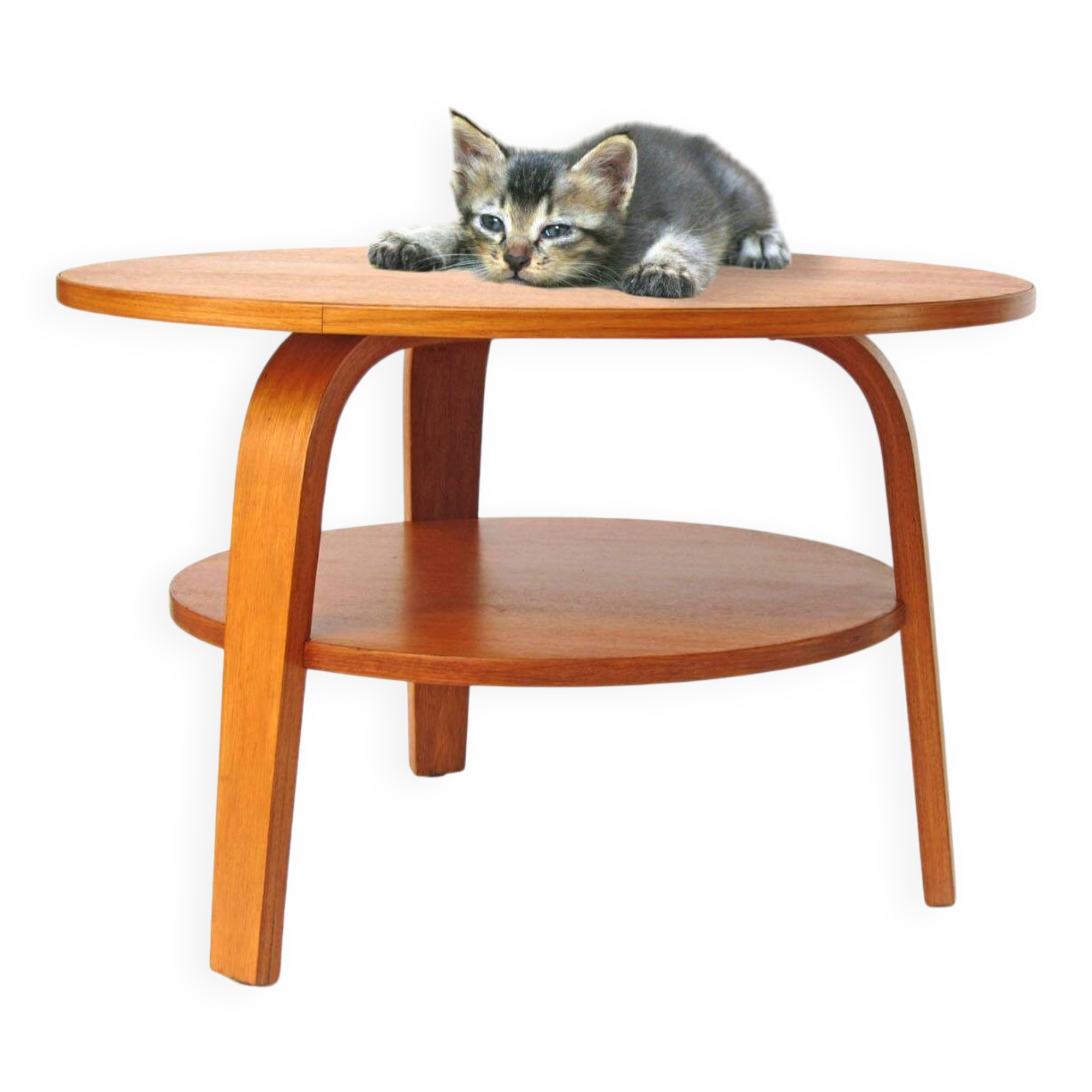 Cees Braakman Pastoe Oak series plywood coffee table