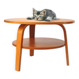 Cees Braakman Pastoe Oak series plywood coffee table