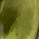 Olive green demijohn 30L