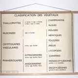 Rossignol botanical poster