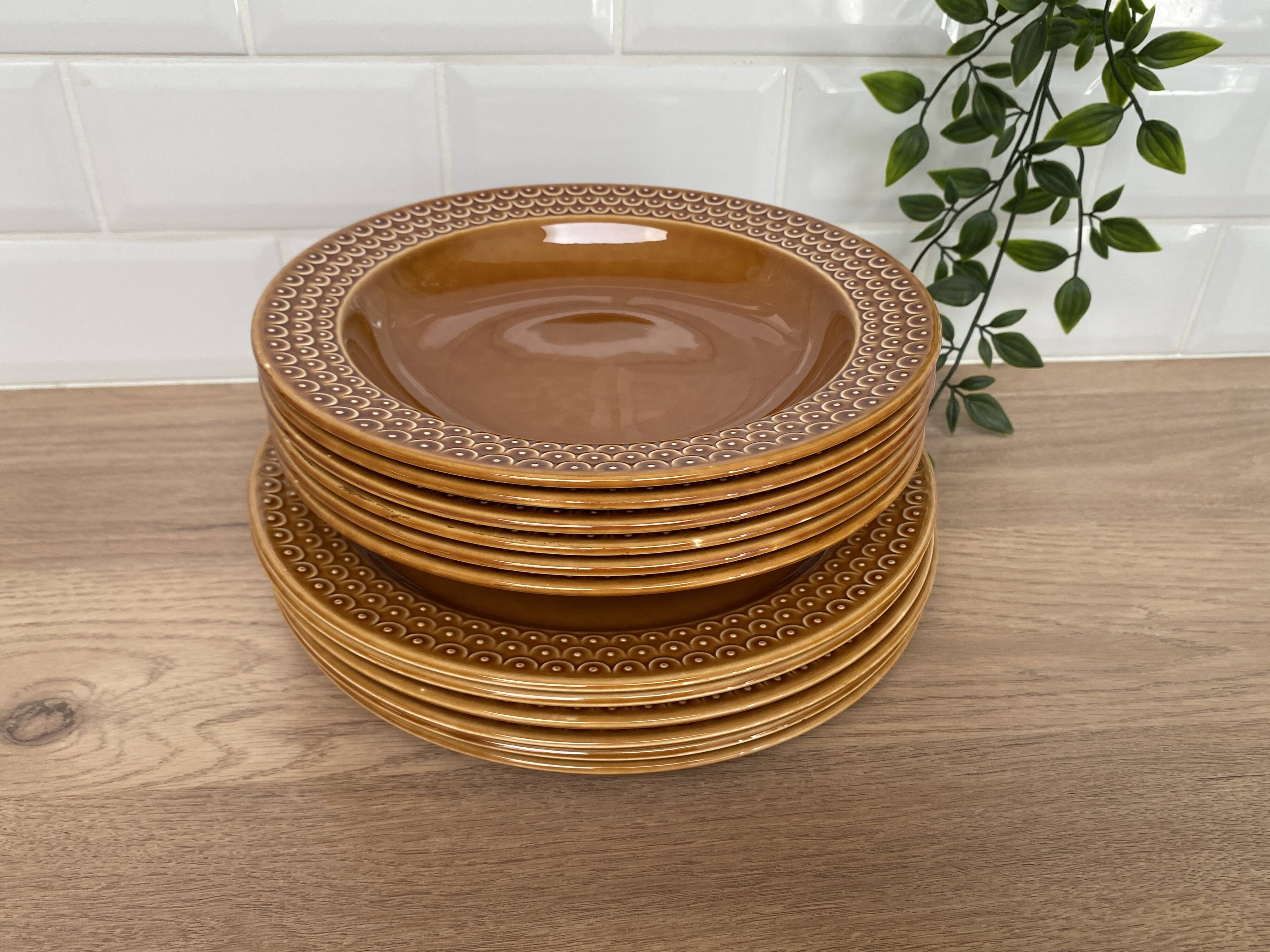 Set of 12 Pagnossin earthenware plates