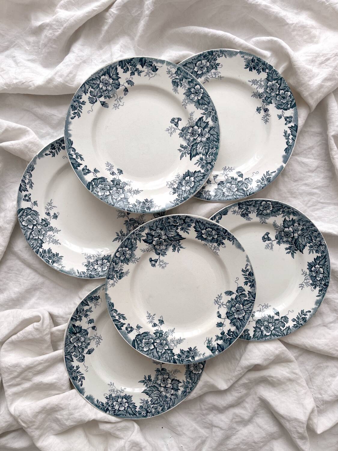 6 flat ironstone plates “Marie Louise” Saint Amand and Hamage