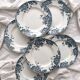 6 flat ironstone plates “Marie Louise” Saint Amand and Hamage
