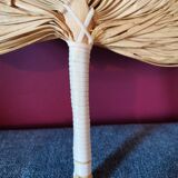 Palm fan