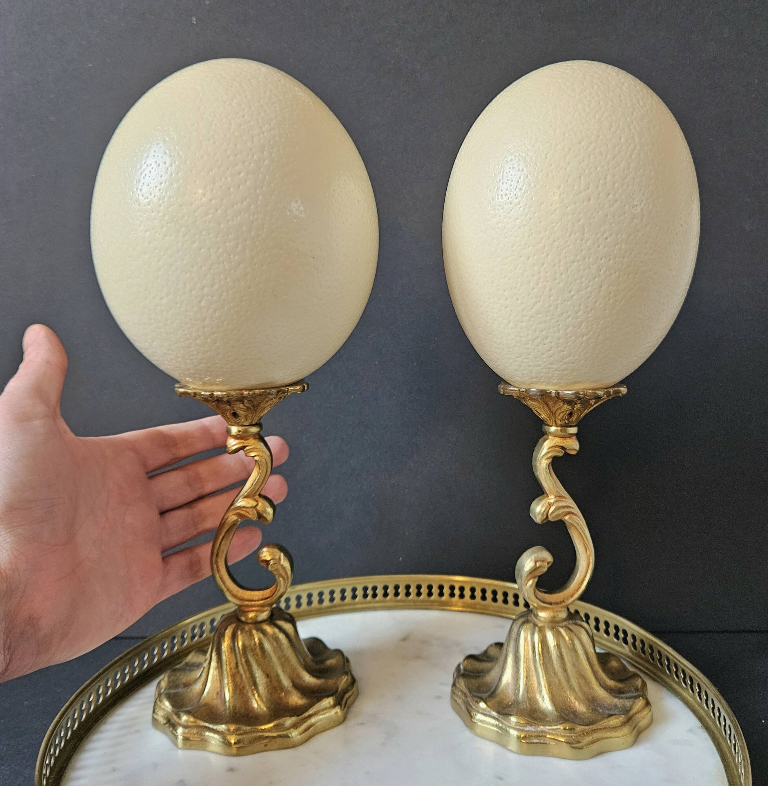 Ostrich Egg, Brass Base (20th Century) H: 29 cm