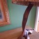 Brutalist lamp, olive wood