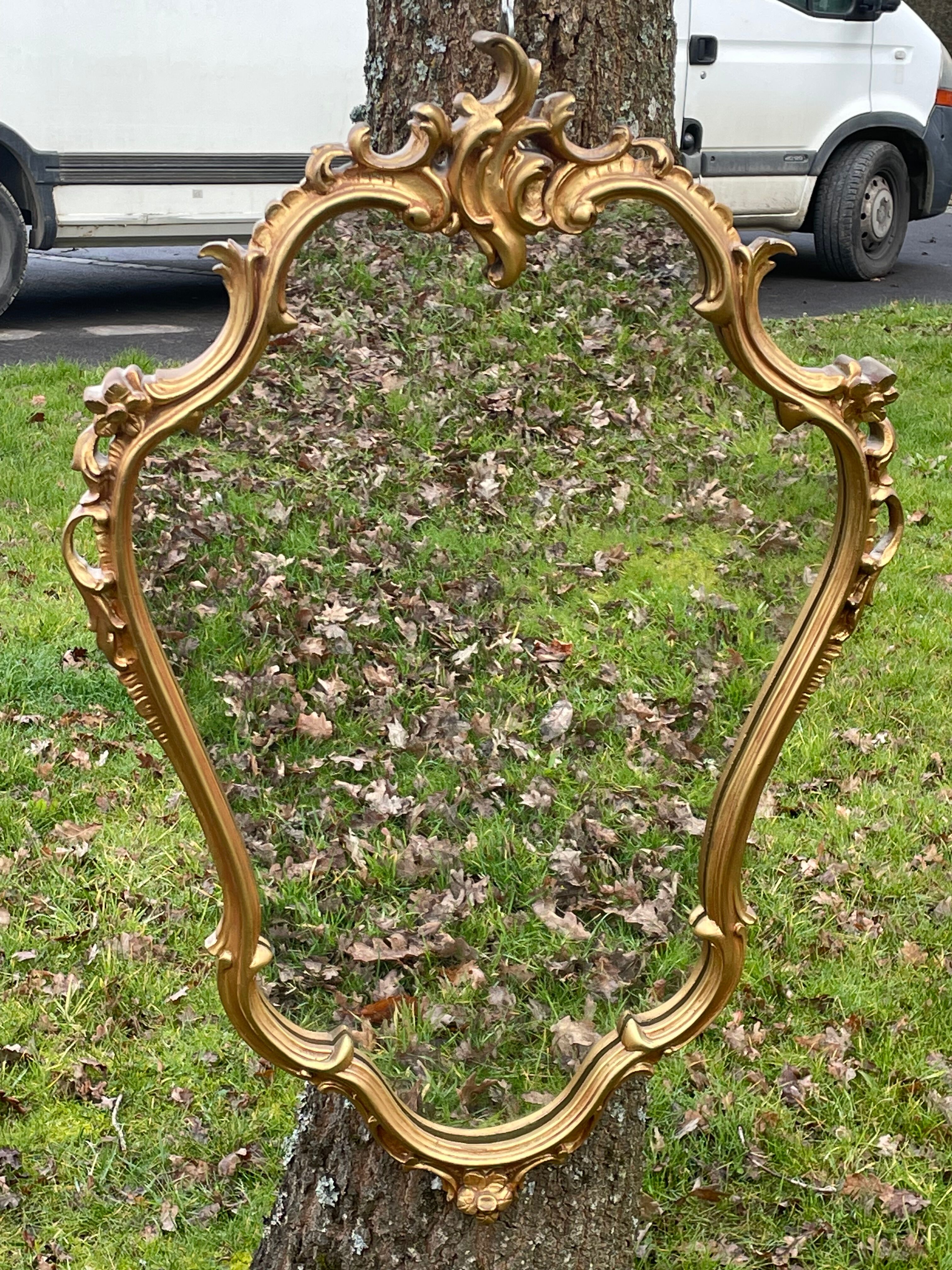 Louis XV Style wood and gilded stucco mirror with animated shape