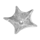 Empty-pocket star in cut crystal Saint-Louis